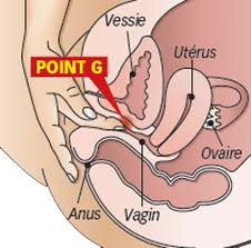 Augmentation point G 