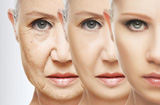 vieiliessement du visage